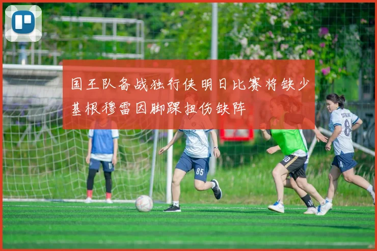 国王队备战独行侠明日比赛将缺少基根穆雷因脚踝扭伤缺阵